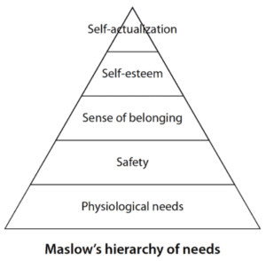 Suffer, survive or thrive in organizational culture? - Marcella Bremer ...